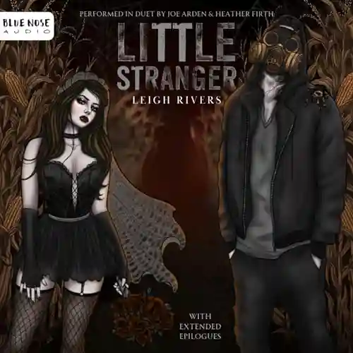 Little Stranger Ending Explained & Spoilers of the Book